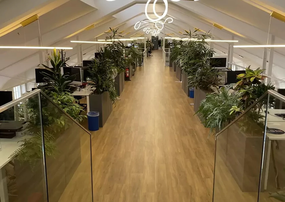 Modern open-plan office of innoscripta, an international cloud-based software company, showcasing a collaborative workspace with greenery that reflects the company’s innovative, multicultural, and interdisciplinary work culture.
