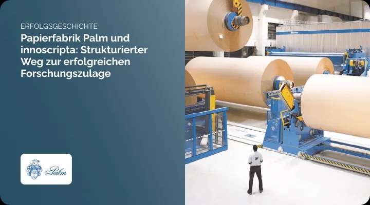 Ein Foto von palm